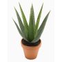 Konstgjord suckulent Aloe Variegata MARTINEZ, lerkruka, grön, 30cm, Ø17cm