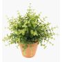 Konstgjord ört: eukalyptus JOSHUA i lerkruka, grön, 20cm, Ø17cm
