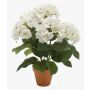 Konstgjord hortensia JONE i lerkruka, krämfärgad, 40cm