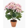 Konstväxt hortensia JONE i lerkruka, rosa, 40cm