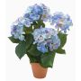 Konstgjord hortensia JONE i lerkruka, blå, 40cm