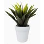 Konstväxt Agave decipiens SEDA i keramikkruka, grön, 25cm, Ø25cm