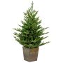 Konstgjord gran CARDIFF, träkruka, LED-lampor, 90cm, Ø75cm