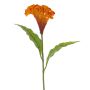 Konstgjord blomma Hahnenkamm ANUBIS, orange, 60cm, Ø14cm