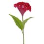 Konstgjord blomma tuppkam ANUBIS, violett-röd, 60cm, Ø14cm