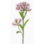 Konstgjord barneklint ARCHIE, krämrosa, krämfärgad-cerise, 60cm, Ø8-14cm