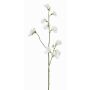 Konstgjord blomkvist Lathyrus ASFALOTH, vit, 65cm, Ø3-5cm