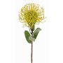 Konstgjord nålkudde Protea BAILY, gulgrön, 55cm, Ø10cm