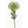 Konstgjord nålkudde Protea BAILY, grön, 55cm, Ø10cm