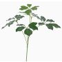Konstgjord Schefflera-gren CAPONE, crossdoor, grön, 50cm