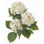 Konstgjord hortensia SAIRA, på pinne, crossdoor, krämfärgad, 40cm, Ø11-13cm