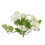 Konstgjord petunia SINDY på stativ, krämfärgad, 30cm, Ø30cm