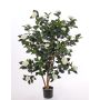 Konstgjord Camellia Japonica SENTA, äkta stammar, blommor, krämfärgad, 135cm