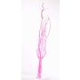 Dekorativa kvistar Mitsumata GERY, 3 st, torkade, rosa, 105cm