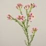 Konstgjord vaxblomma AISHA, rosa, 65cm, Ø1-1,5cm