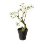 Konstgjord mandelbonsai OYOS i dekorativ kruka, med blommor, vit, 26cm