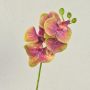 Konstgjord Phalaenopsis-orkidégren OPHELIA, cerise-grön, 40cm, Ø7-8cm
