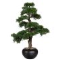 Konstträd Bonsai ceder FALKE med rötter, keramikkruka, 70cm