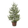 Dekorationsgran MALKE i dekorativ kruka, snötäckt, 65cm