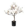 Konstgjord magnoliaträd DOLS, konstgjord stam, med blommor, snötäckt, 60cm