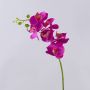 Konstgjord Phalaenopsis-orkidégren OPHELIA, cerise, 80cm, Ø8-9cm