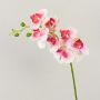 Konstgjord Phalaenopsis-orkidégren OPHELIA, rosa-cerise, 80cm, Ø8-9cm