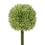 Dekorativ blomma Allium MENKES, grön, 65cm