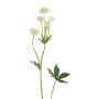 Dekorativ kvist stjärnblomma GRUHEN, vit-kräm, 65cm