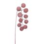 Dekorativ gren av platan FLERMO med frukter, hängande, frusen, gammaldagsrosa, antikrosa, 60cm