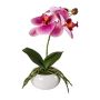 Plastblomma Phalaenopsis-orkidé KASDA, keramikskål, rötter, cerise, 27cm
