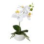 Plastblomma Phalaenopsis-orkidé KASDA, keramikskål, rötter, vit, 27cm