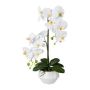 Plastblomma Phalaenopsis-orkidé KASDA, keramikkruka, rötter, vit, 50cm