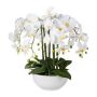 Plastblomma, Phalaenopsis-orkidé, KASDA, keramikskål, rötter, vit, 55cm
