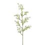 Dekorativ kvist stjärnblomma KLIRMO, vit, 55cm, Ø1,5cm