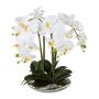 Textil Phalaenopsis-orkidé MANULO, keramikskål silver, rötter, vit, 40cm