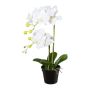 Plastblomma Phalaenopsis-orkidé WENJAN, dekorativ kruka, rötter, vit, 55cm