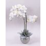 Konstgjord Phalaenopsis-orkidé KAREN, dekorativ kruka, frusen, vit, 60cm