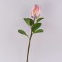 Dekorativ blomkvist av kungsprotea TANIEKA, rosa-lila-vit, 65cm, Ø9cm