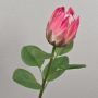 Dekorativ blomkvist av kungsprotea TANIEKA, cerise-lila-grön, 65cm, Ø9cm
