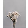 Konstblommor, bukett med små krysantemum WEMKE, vit-krämfärgad, 35cm, Ø13cm
