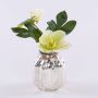 Dekorationsblomma julros WINFRIEDA i glasvas, krämgrön, 20cm