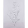 Dekorativ pilkvist DONATELLA, silver, 95cm