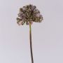 Konstgjord hortensia MANDISA, grön-rosa, 45cm, Ø16cm