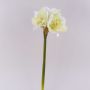 Dekorativ blomma amaryllis MARKUNO, krämvit, 65cm, Ø13cm