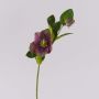 Konstblomma julros MITTWEIDA, violett-grön, 35cm