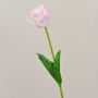 Konstgjord tulpan PJASSINA, vit-rosa, 65cm