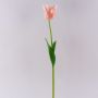 Konstgjord papegojatulp PETSCHORA, aprikosrosa, 65cm