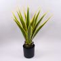 Konstgjord Agave furcraea gigantea CHERIE, grön-gul, 80cm