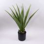 Konstgjord Agave furcraea gigantea CHERIE, grågrön, 80cm