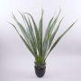 Konstgjord Agave furcraea gigantea CHERIE, grön-grå, 100cm